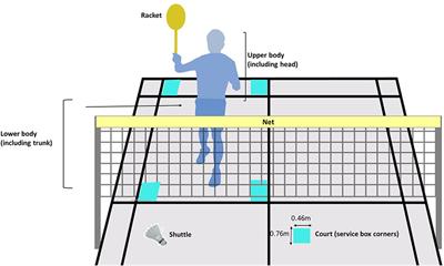 Increased Complexities in Visual Search Behavior in Skilled Players for a Self-Paced Aiming Task